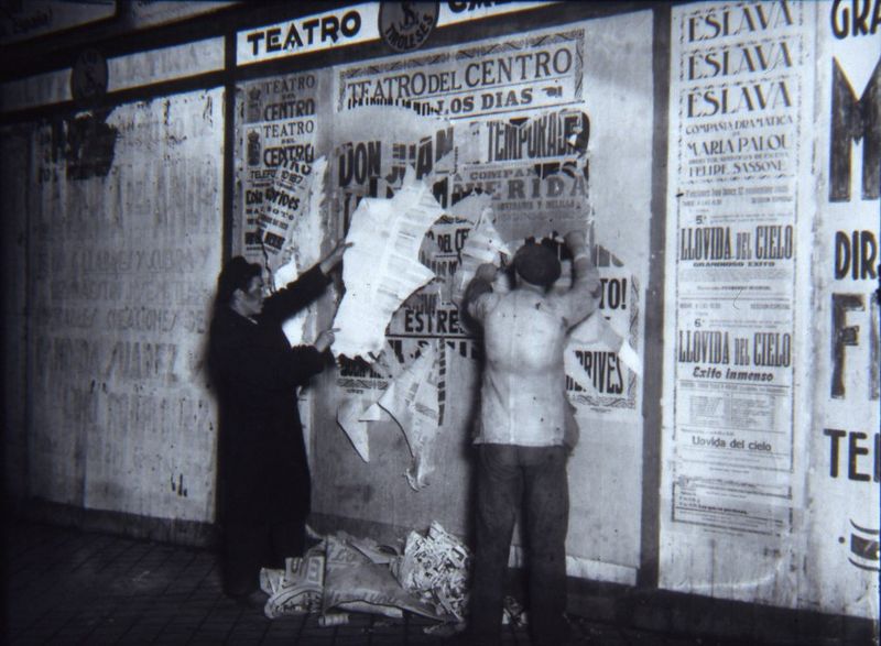 Dos golfillos arrancan trozos de carteles 