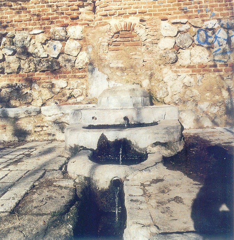 Ruinas y fuente de la Casa de Vacas