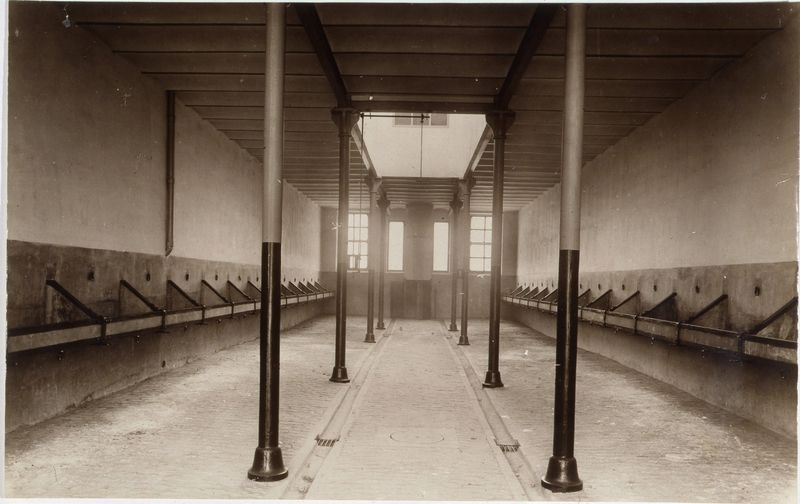 Interior de una cuadra de ganado de trabajo del Matadero Municipal