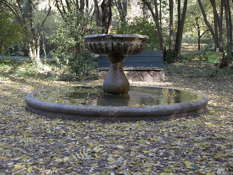 Fuente piln Campo del Moro