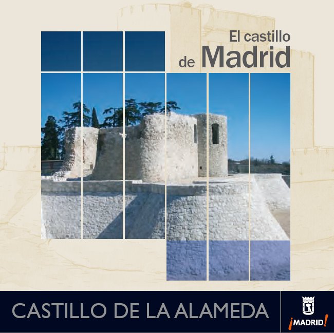 El castillo de Madrid: Guía del castillo de la Alameda y su entorno