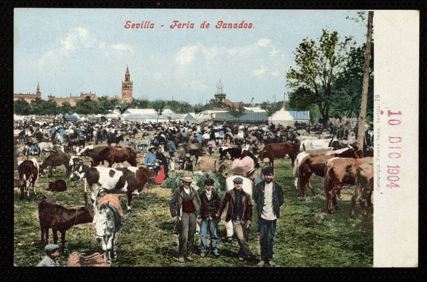 Sevilla. Feria de ganados