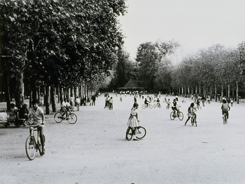 Las bicicletas del Retiro