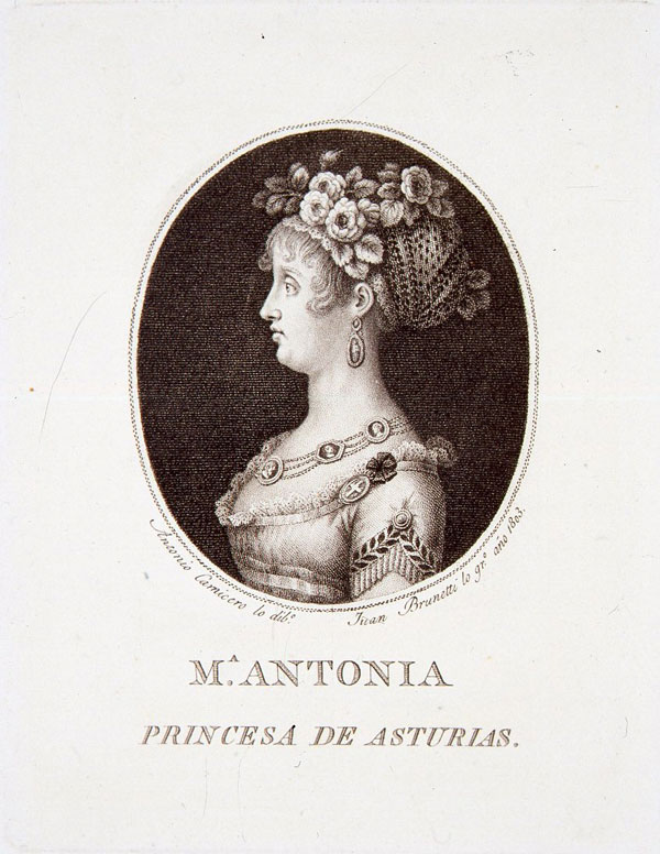 Retrato de Mara Antonia de Borbn. Princesa de Asturias 
