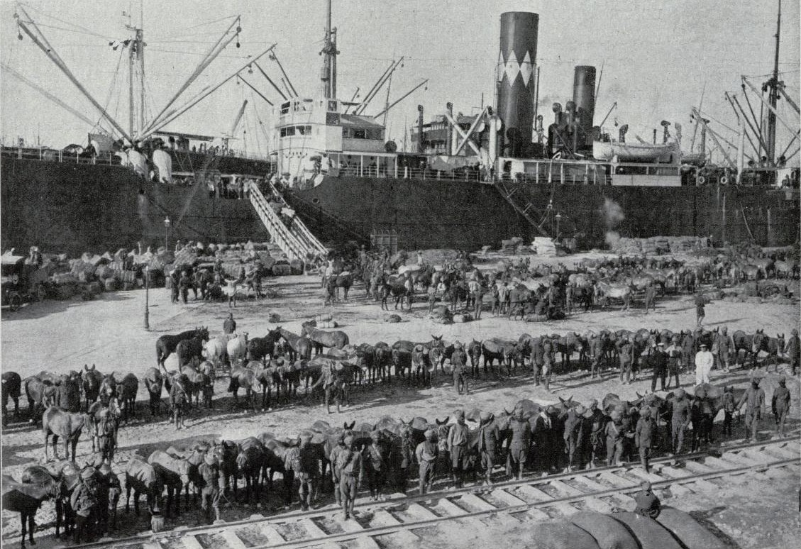 Tropas anglo-indias embarcando con su ganado en el muelle de Alejandra con destino a los Dardanelos
