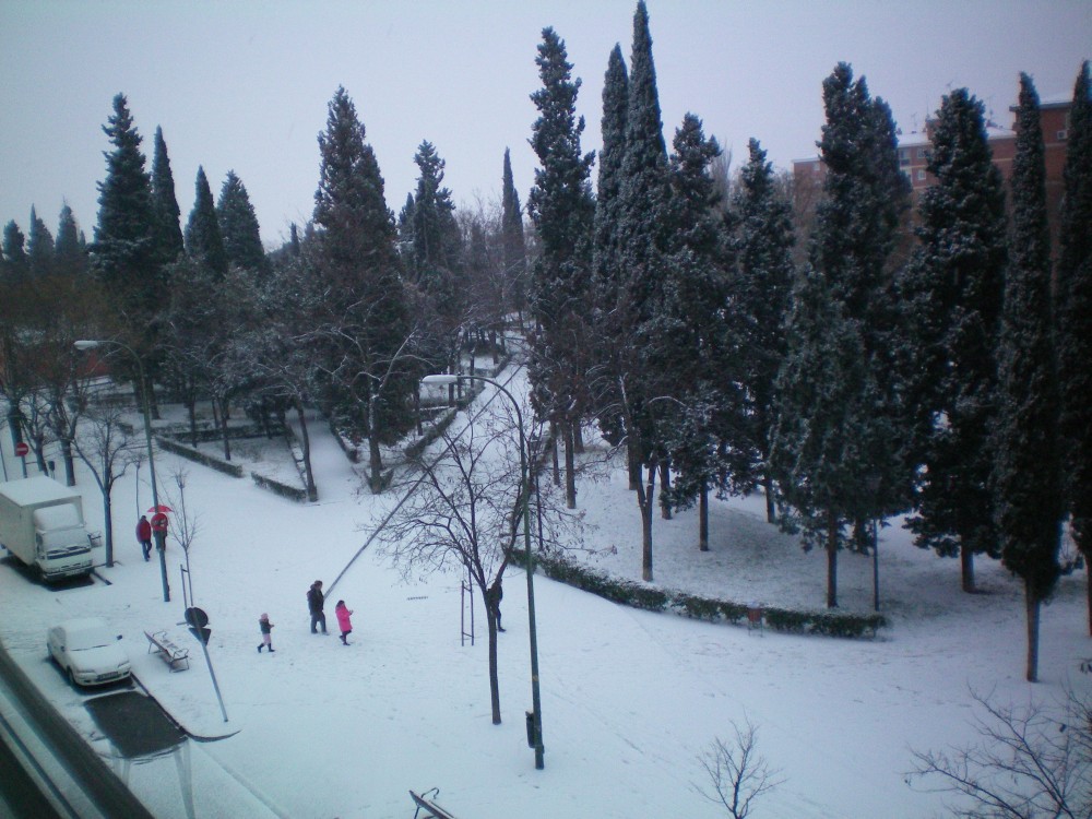 Vista nevada del Parque del Cementerio