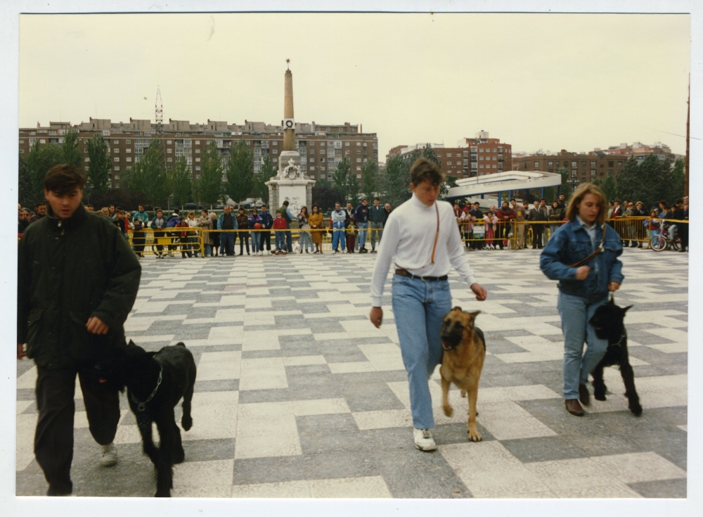 Concurso Canino en el Parque de la Arganzuela