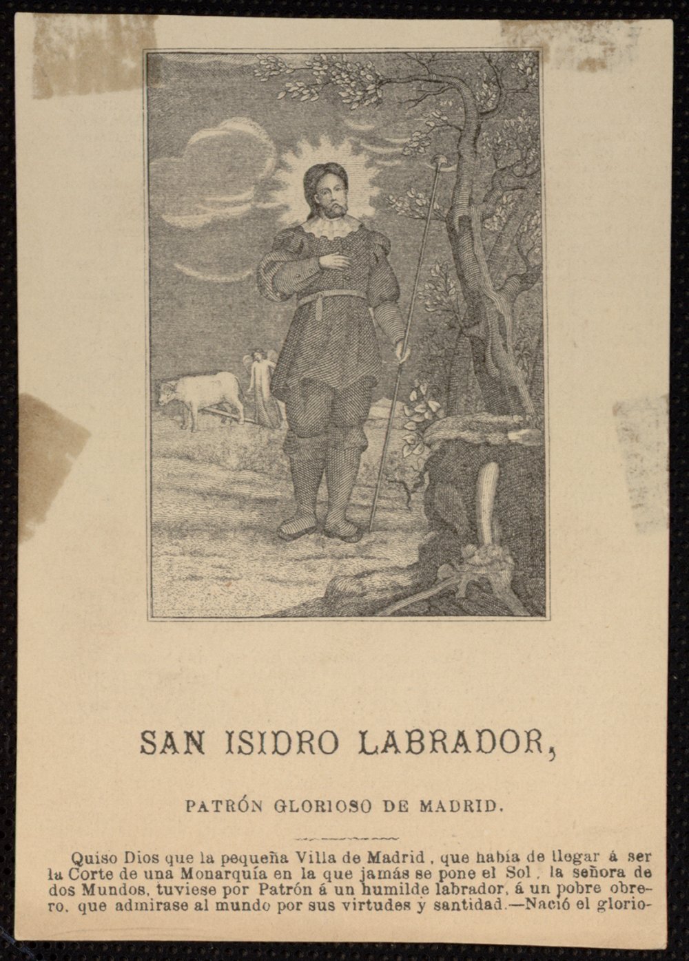 San Isidro Labrador, Patrn Glorioso de Madrid