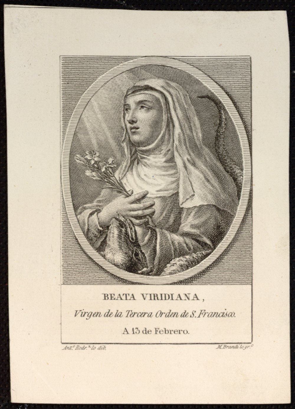 Beata Viridiana 