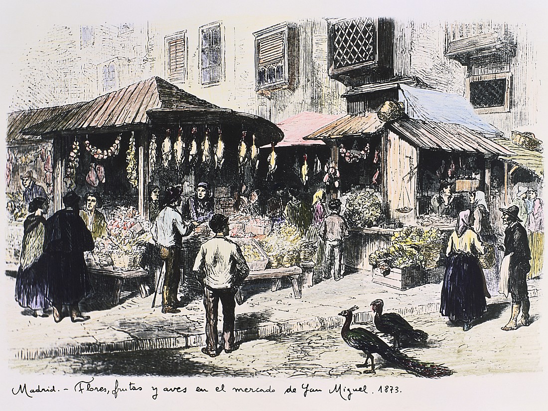 Flores, frutas y aves en el mercado de San Miguel. 1873