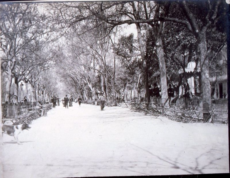 Paseo de Recoletos