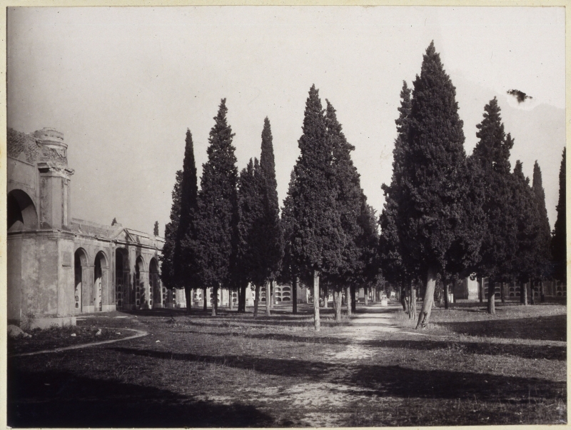 Antiguo cementerio de San Martn, San Ildefonso y San Marcos