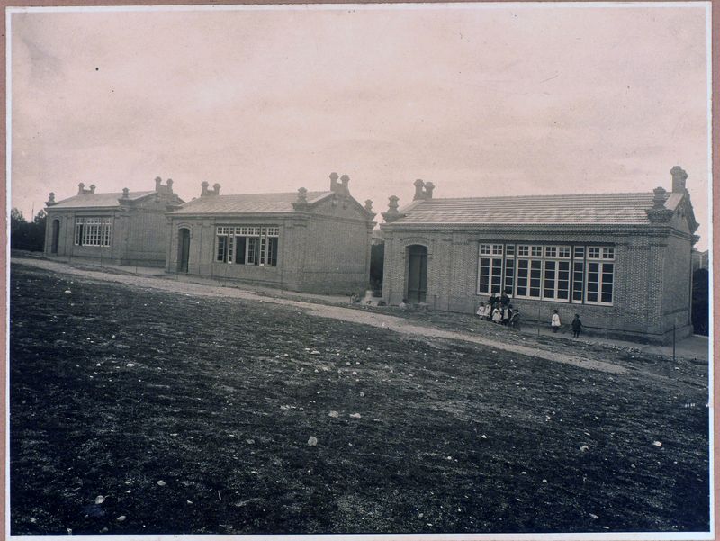 Escuelas Bosque