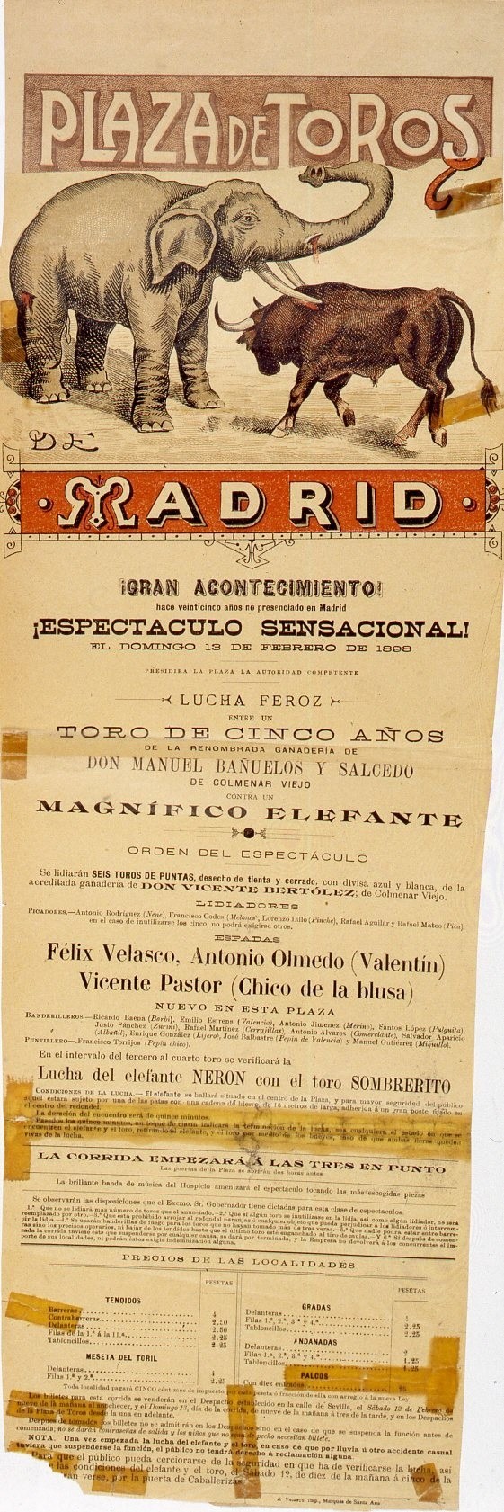 Lucha de un toro con un elefante celebrada el da 13 de febrero de 1898