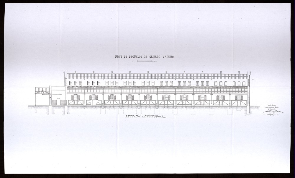 Seccin longitudinal de la nave de degello de Ganado Vacuno del Matadero de Madrid