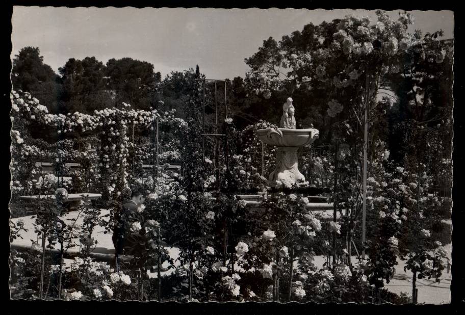La Rosaleda del Parque del Retiro