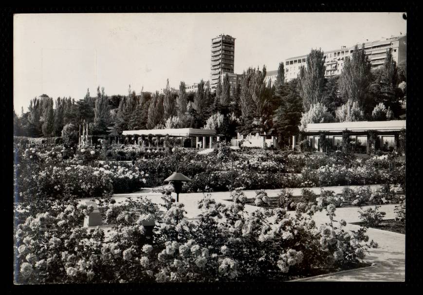 Parque del Oeste. La Rosaleda