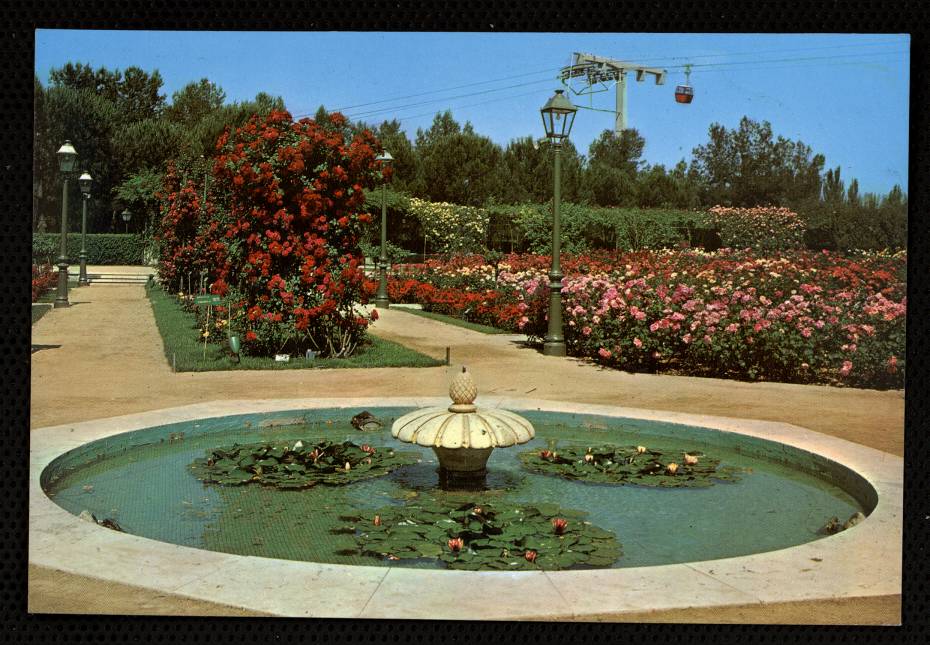 Rosaleda del Parque del Oeste