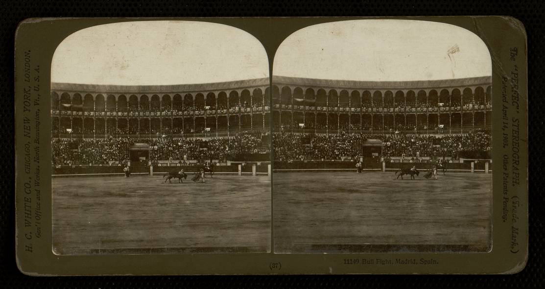 Bull Fight