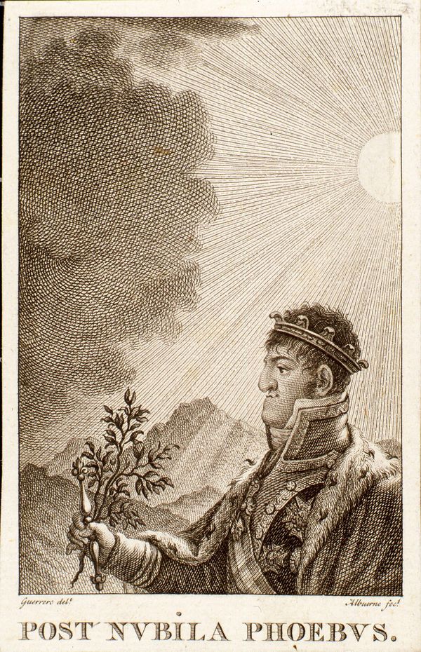 Retrato de Fernando VII