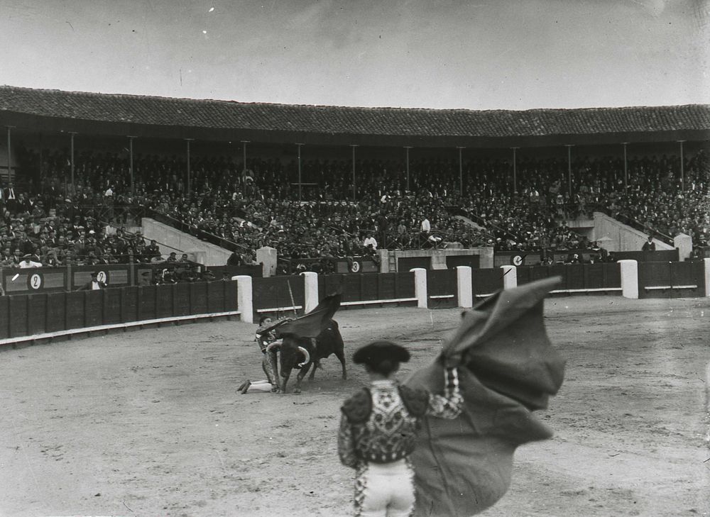 El torero Gallardo en la Plaza de Toros de Vista Alegre