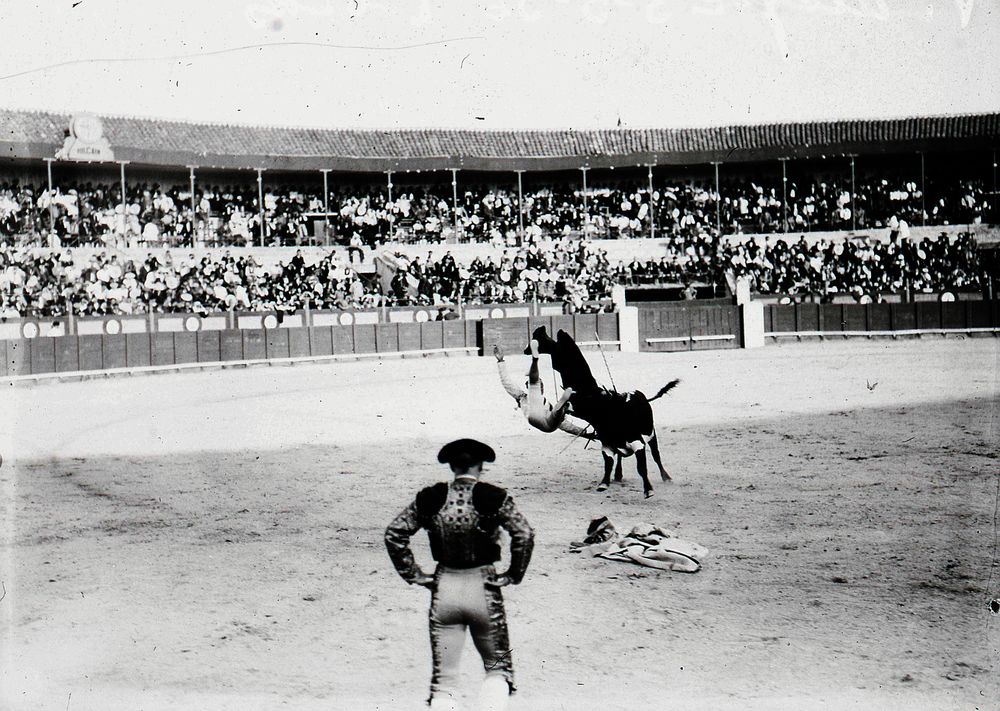 Cogida de un torero en la Plaza de Toros de Vista Alegre