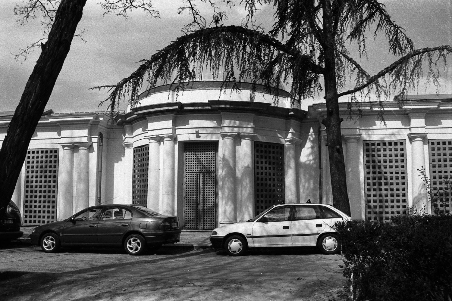 Invernadero de la Finca de Vista Alegre