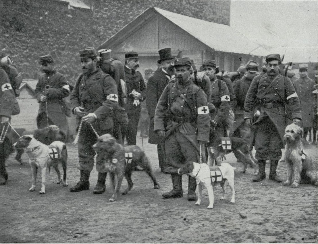 Servicios sanitarios franceses, con sus perros amaestrados, disponindose para salir en busca de los heridos del ltimo combate