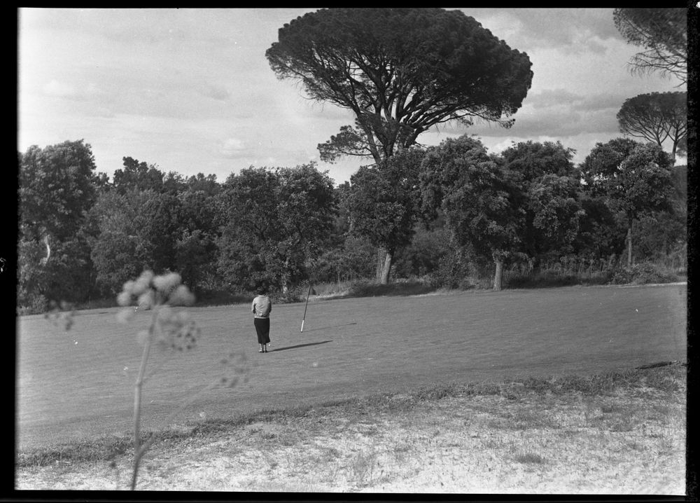 Vista del Club de Campo. Green de hoyo 13