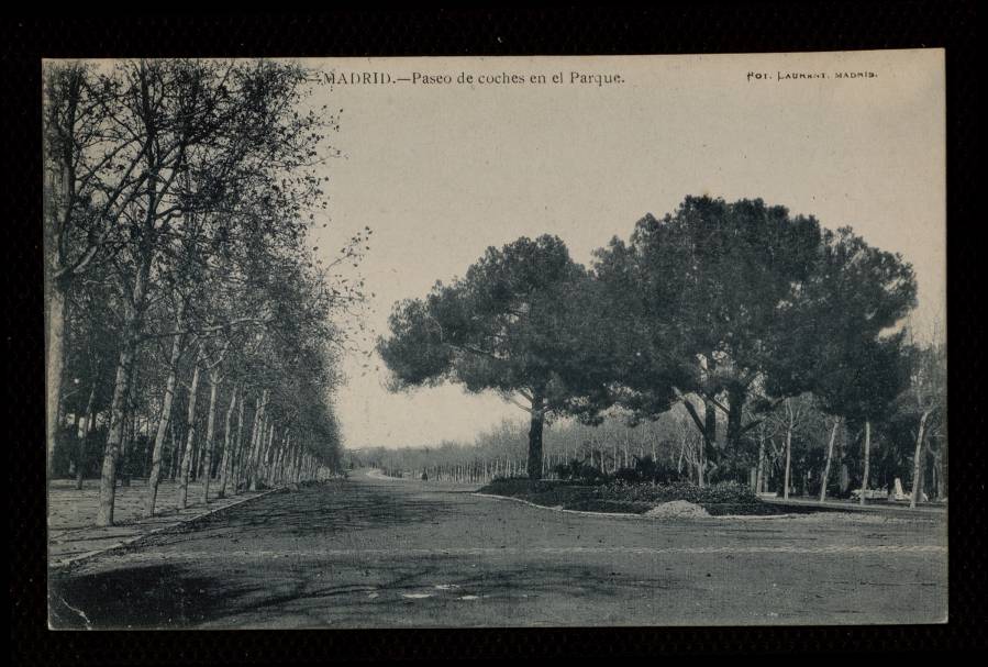 Paseo de coches en el Parque