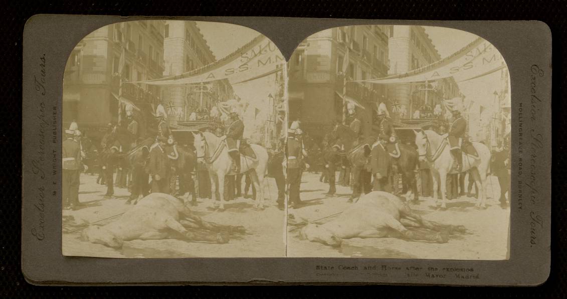 Atentado el da de la boda de Alfonso XIII. Caballo de la carroza real