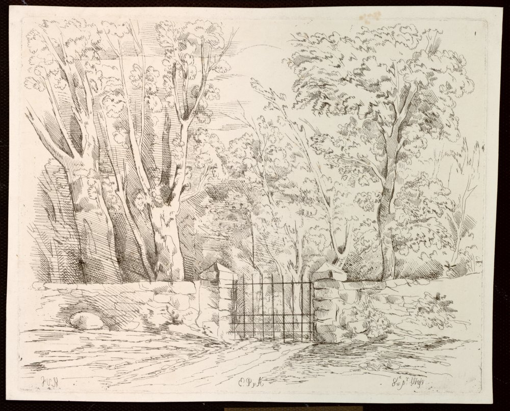 Vista de un jardn