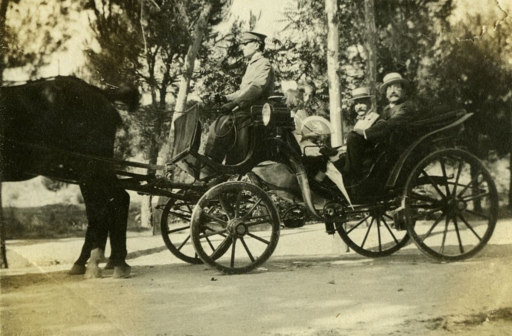 Paseando en coche de caballos