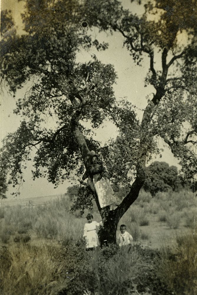 Un da de campo en familia