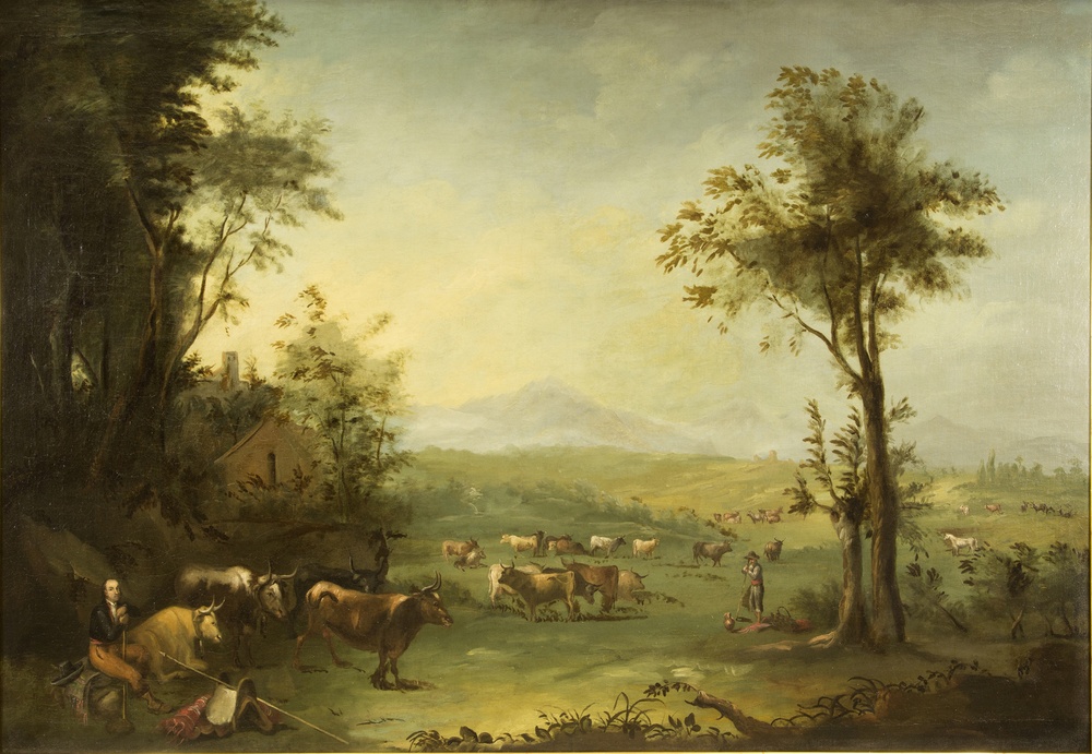 Toros en el Campo