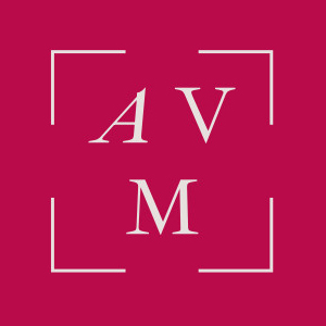 Archivo de Villa