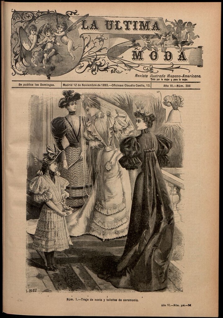 Miniatura de La Última moda: revista ilustrada hispano-americana, del 19 de noviembre de 1893