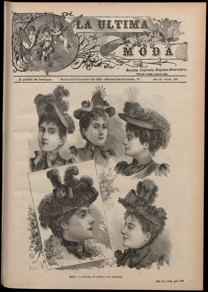 Miniatura de La Última moda: revista ilustrada hispano-americana, del 26 de noviembre de 1893