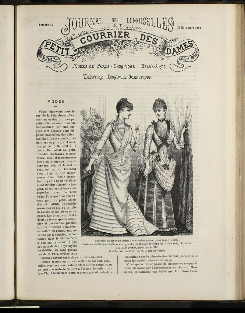 Miniatura de Journal des Demoiselles et Petit courrier des dames del 29 de Noviembre de 1884