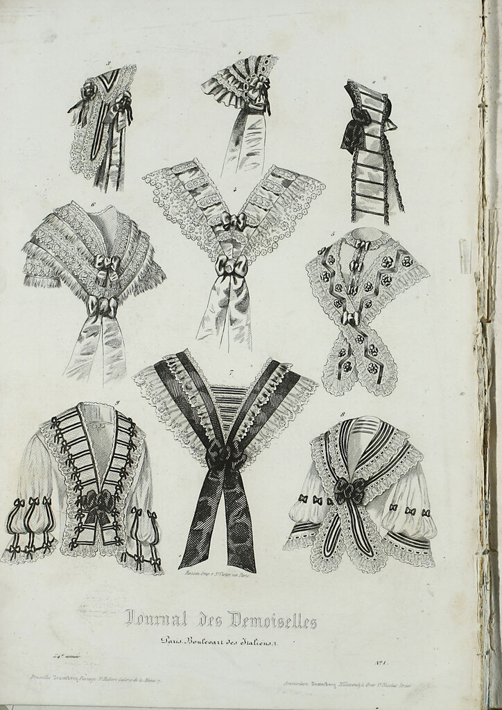 Miniatura de Journal des Demoiselles. Enero 1856