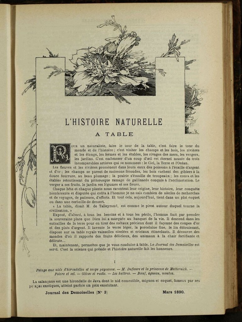 Miniatura de Journal des Demoiselles. Marzo 1890