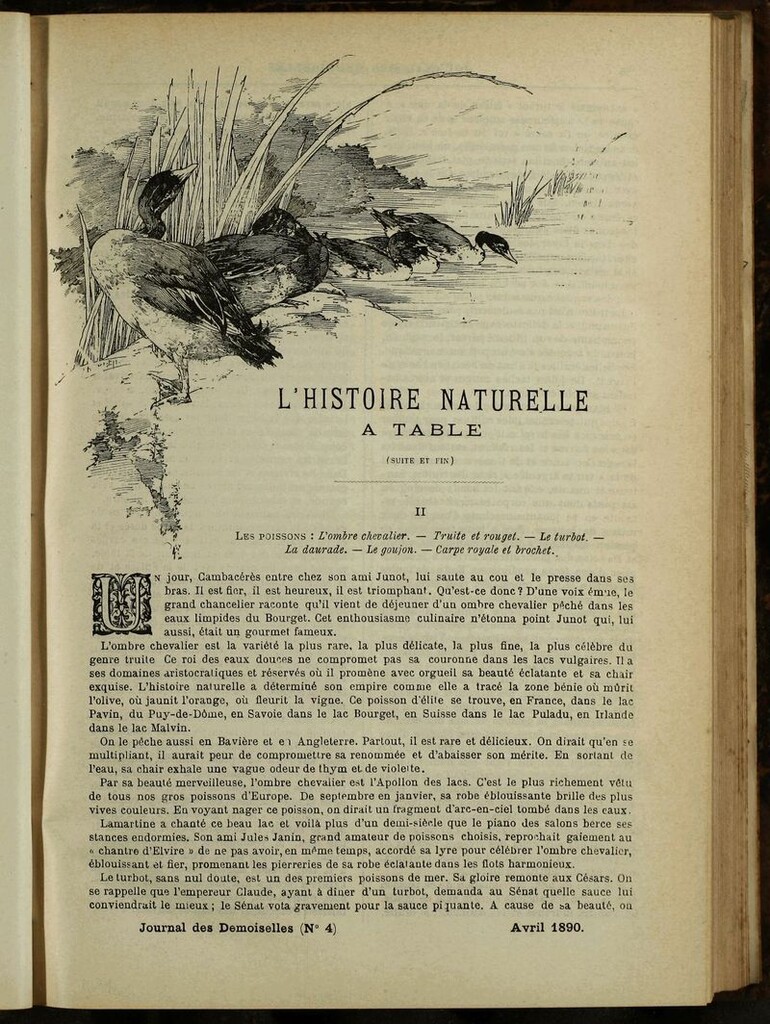 Miniatura de Journal des Demoiselles. Abril 1890