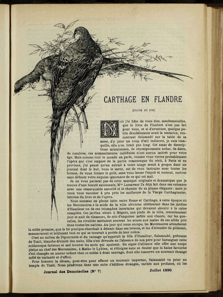 Miniatura de Journal des Demoiselles. Julio 1890