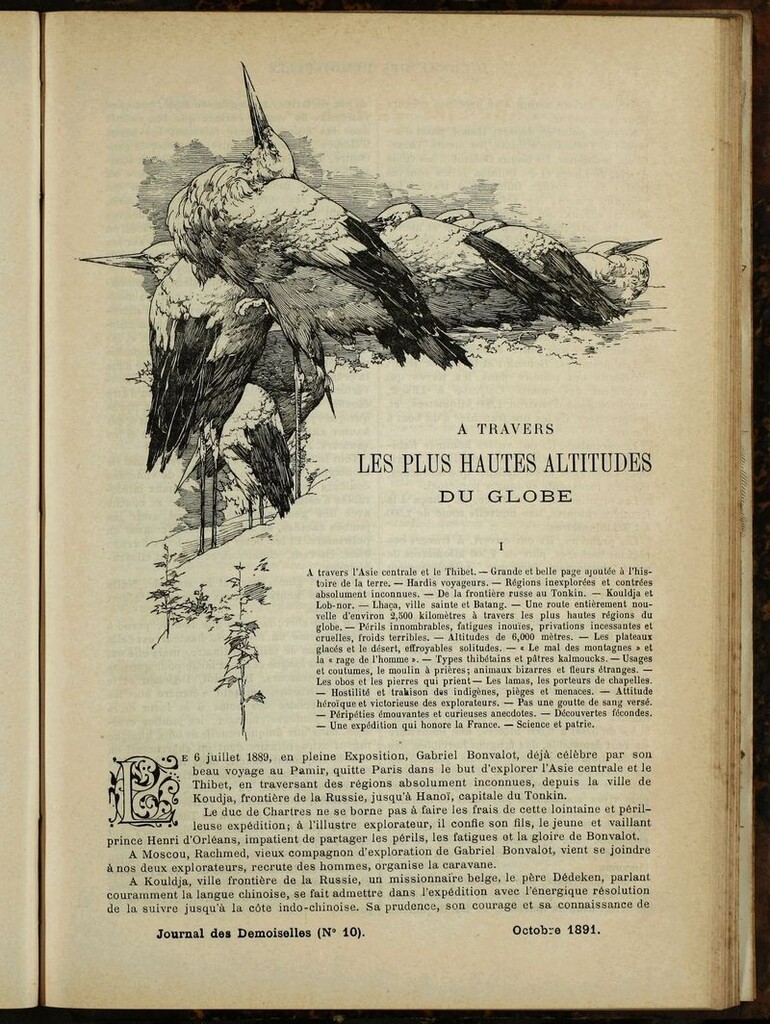 Miniatura de Journal des Demoiselles. Octubre 1891