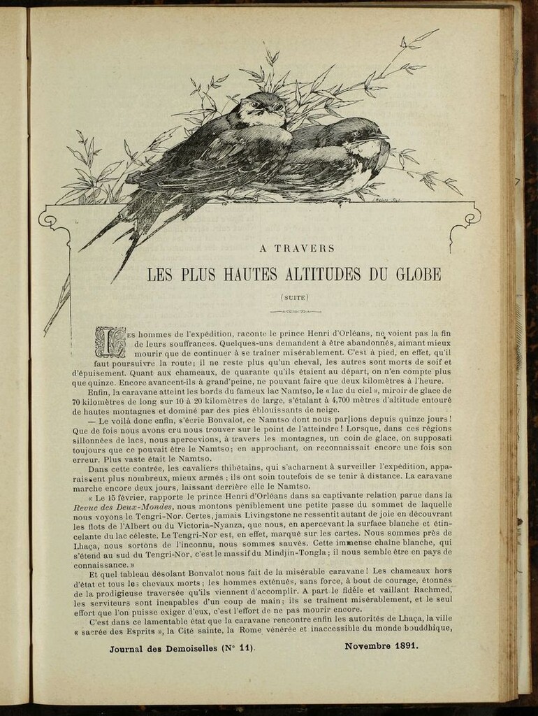 Miniatura de Journal des Demoiselles. Noviembre 1891