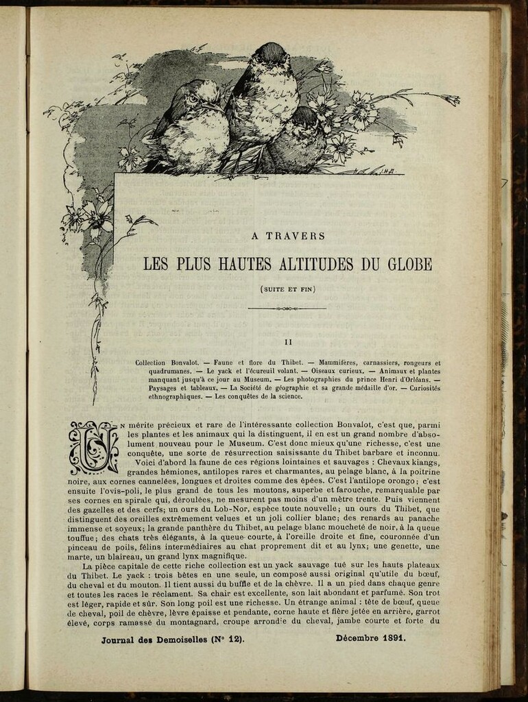 Miniatura de Journal des Demoiselles. Diciembre 1891
