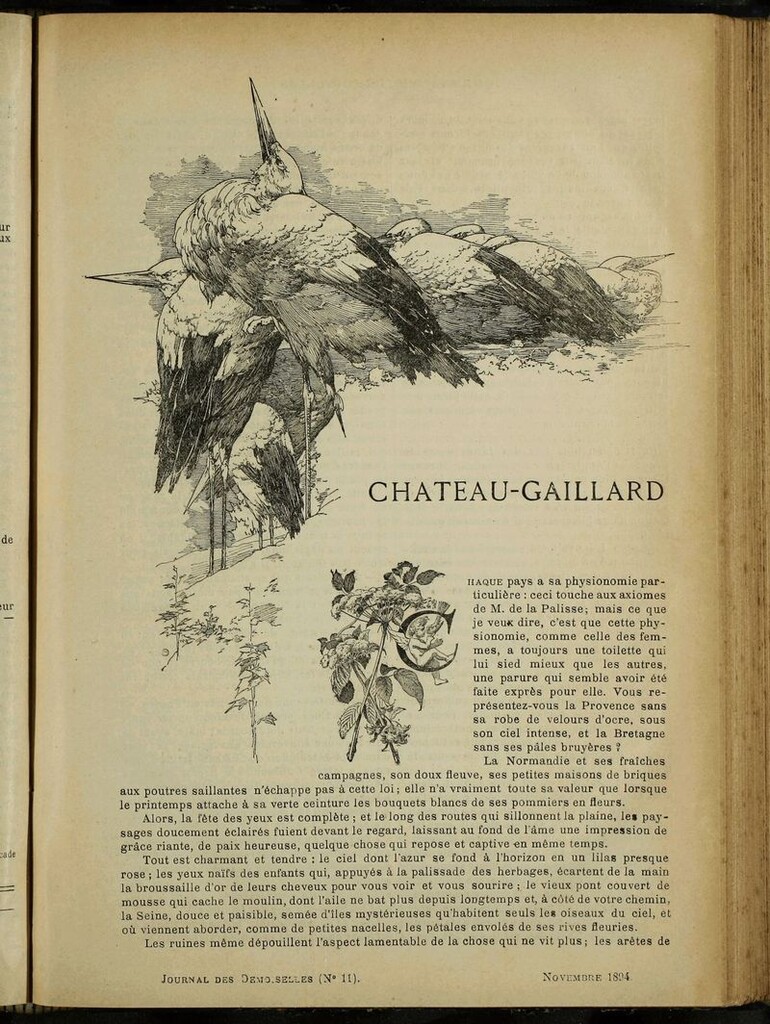 Miniatura de Journal des Demoiselles. Noviembre 1894