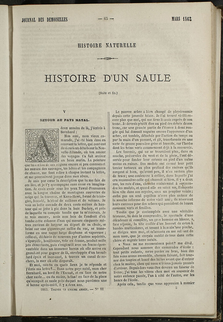 Miniatura de Journal des Demoiselles. Marzo 1863
