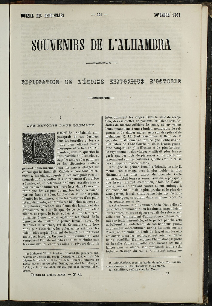 Miniatura de Journal des Demoiselles. Noviembre 1863