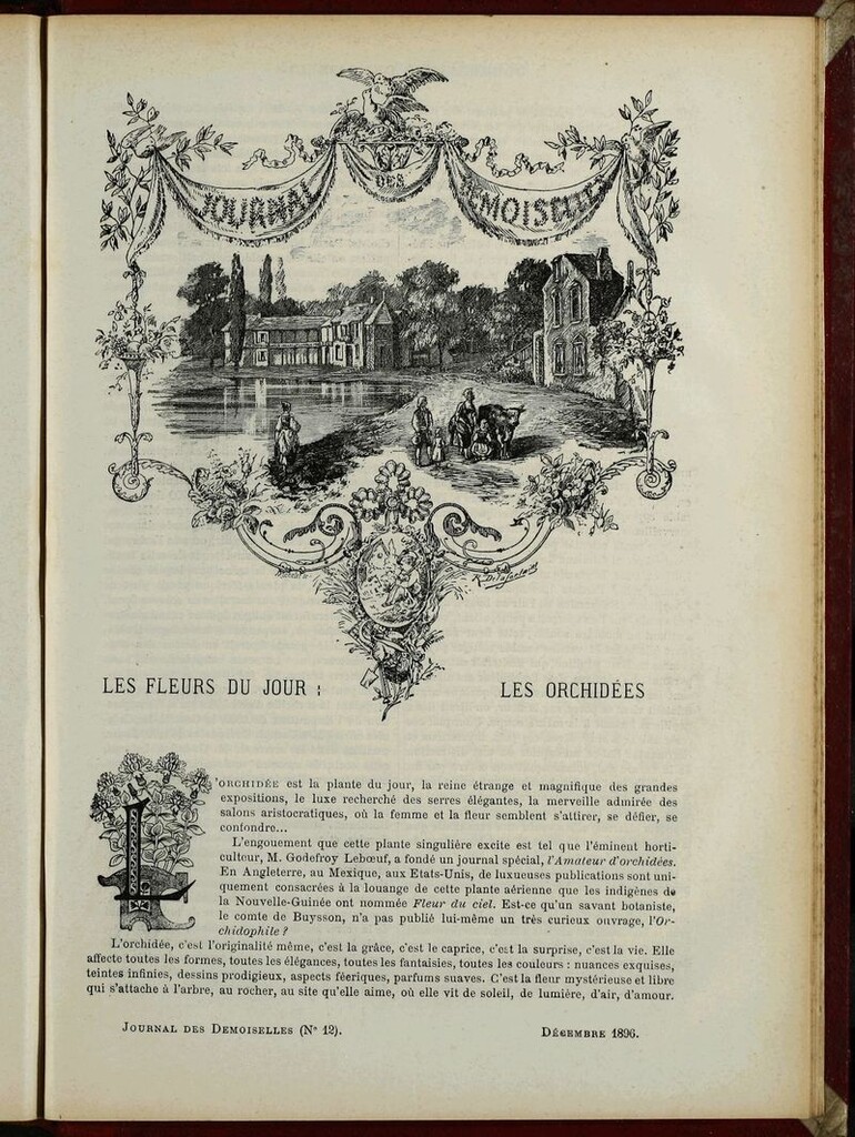 Miniatura de Journal des Demoiselles. Diciembre 1896